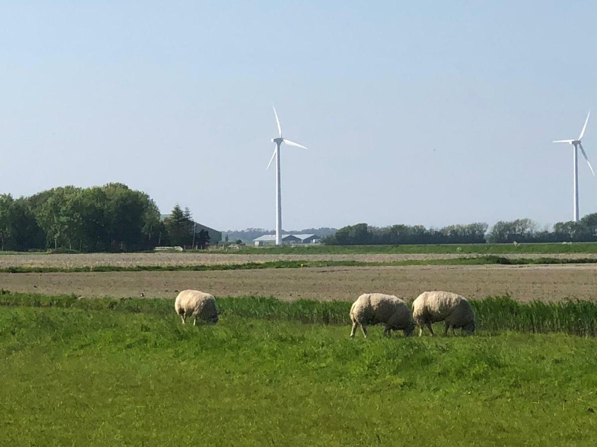 Vogelvrij Burgerbrug Exterior photo